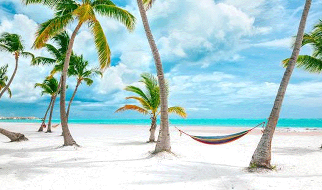 Video jinsiy qarindoshlar