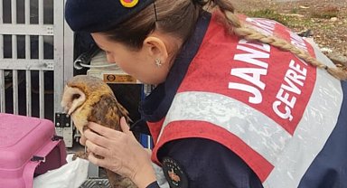 Aydın Didim Jandarması'ndan doğaya yardım eli