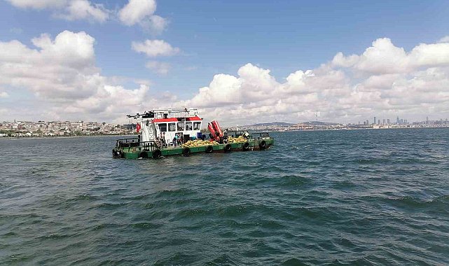 70 ton kaçak midye ele geçirildi, 1 milyon lira para cezası kesildi