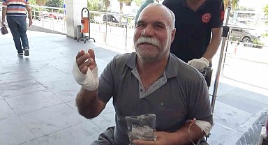 Acemi kasap hastanelik oldu: "Dana kesecektik, kendimizi kestik"