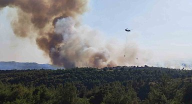 Adana'da orman yangını: Havadan ve karadan müdahale başladı
