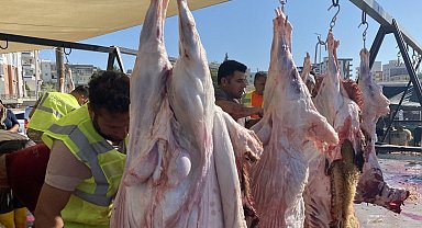 Adıyamanlı depremzedeler kurbanlarını kesiyor