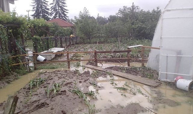 AFAD Düzce için uyardı: "Çok kuvvetli sağanak yağış bekleniyor"