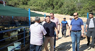 Alanya Belediyesi Kurban Satış Tesisi Kurban Bayramı'na hazır