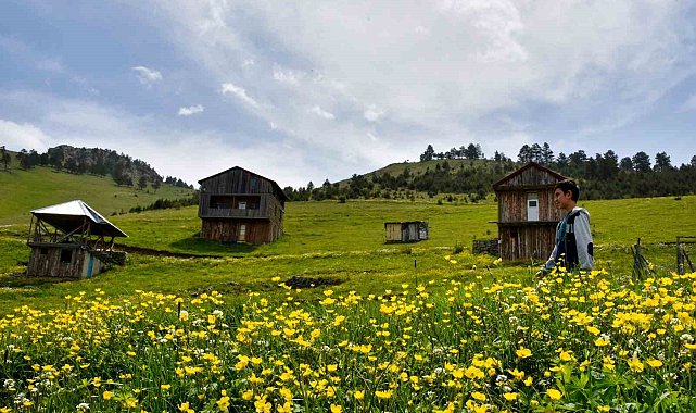 Altınpınar Gölüne ziyaretçi akını