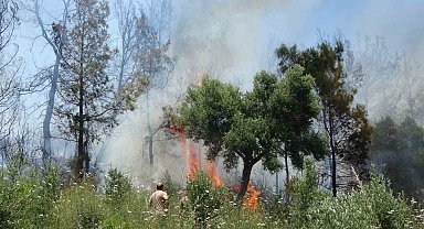 Antalya Valiliğinden orman yangınlarını önlemek için kritik genelge
