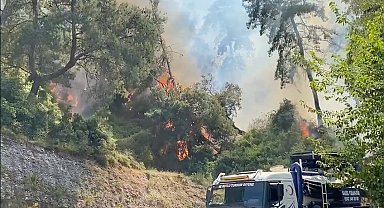 Antalya'da konteyner yangını ormanlık alana sıçradı