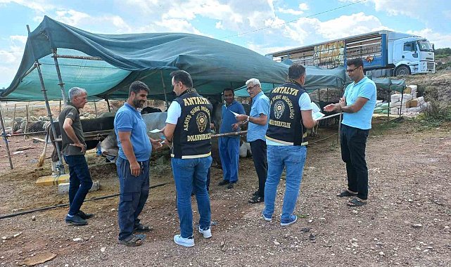 Antalya'da kurban pazarlarında dolandırıcılık uyarısı