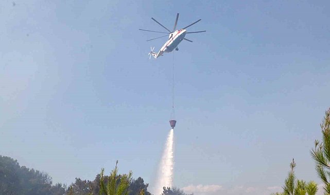 Antalya'daki orman yangını 1 saatte kontrol altına alındı