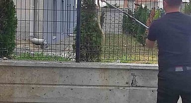 Apartman bahçesindeki tellere çıkan yılan ekipleri harekete geçirdi