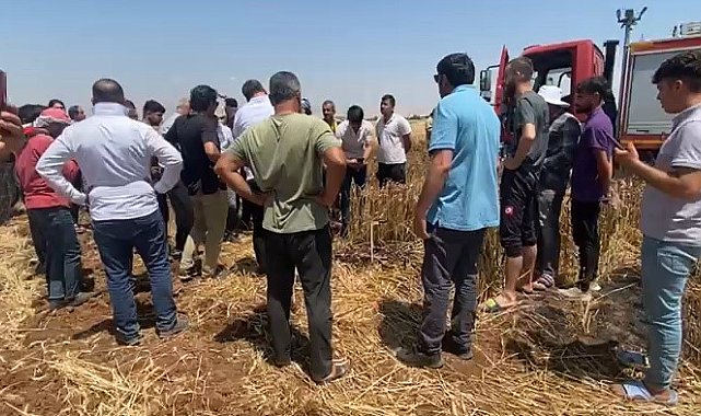 Araziye mercek düzeneği kurdular 50 dönümlük ekili tarla küle döndü