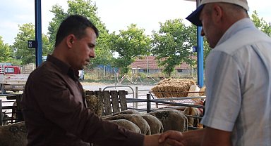 Bandırma ve Gönen'de kurban pazarı kuruldu
