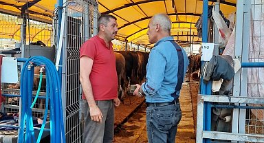 Başkan Altıkulaç: "İstanbul'a sevk edilen kurbanlıkların yüzde 60'ı satıldı"