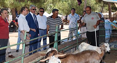 Başkan Oktay, kurban kesim yerlerini ziyaret etti