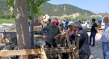 Başkan Şahin kurban pazarında incelemelerde bulundu