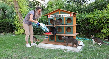 Bayraklı'da can dostlara mama ve su desteği