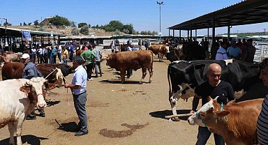 Bayramın 1.günü canlı hayvan pazarında hareketlilik sürüyor