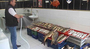 Beyşehir Gölü'nde av sezonu açıldı, balıklar tezgahları süsledi