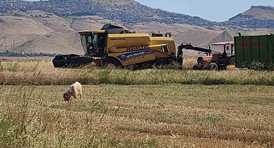 Biçerdöver operatörlerinin gurbette zorlu ekmek mücadelesi