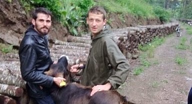 Bilecik'te kaçan kurbanlıklar bulundu
