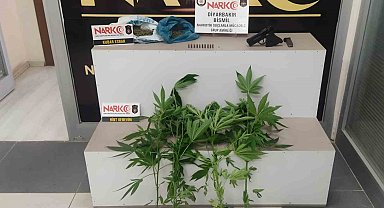 Bismil'de narkotik operasyonu: 2 gözaltı