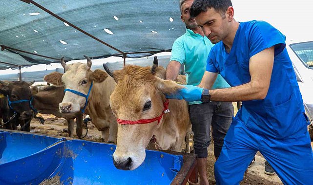 Buca'da Kurban Bayramı öncesi ekipler denetimde