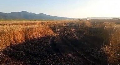 Buğday tarlasında yangın: 15 dönüm küle döndü