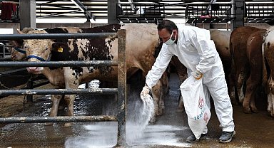 Bursa Osmangazi'de kurban pazarlarında sinekle mücadele