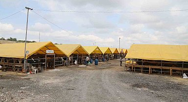 Büyükçekmece'de kurulan Kurban Satış ve Kesim Tesisi 2 büyükbaş 1 küçükbaş kesimhanesi ile hizmet verecek