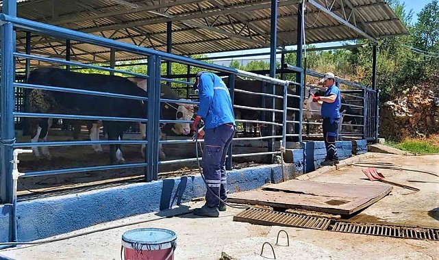 Büyükşehir Mezbahaları ile Kurban Bayramı'na hazır