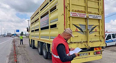 Canlı hayvan sevkiyatının hızlandığı bölgelerde denetim yapıldı