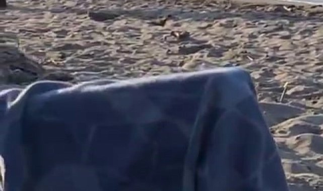 Çevreye rahatsızlık verdiği iddia edilen kişiye denizde meydan dayağı