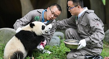Chengdu- İstanbul uçuşları yeniden başlıyor