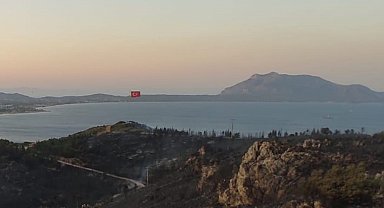 Datça'daki orman yangınında 25 hektarlık alan zarar gördü