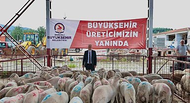 Denizli'de küçükbaş hayvancılığa 7,5 milyon liralık destek