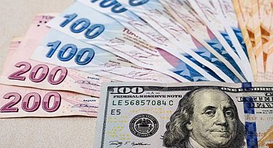 Dolar/TL kuru 25 TL'yi aştı