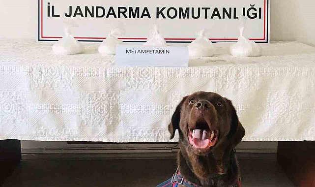 Edirne'de uyuşturucu operasyonu