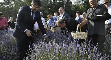 Edirne'de lavantalar çiçek açtı