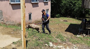 Ekipler her yerde onu arıyordu, evinden 60 kilometre uzaklıkta bulundu