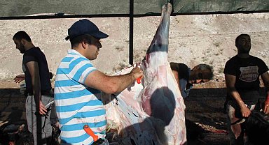 Elazığ'da bayram namazından çıkan vatandaşlar, kurbanlarını kesti