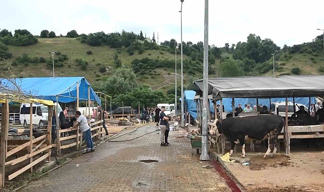 Elde kalan kurbanlıklar için besicilerin mesaisi devam ediyor