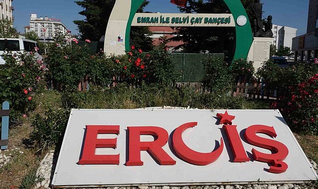 Erciş'te il olma heyecanı