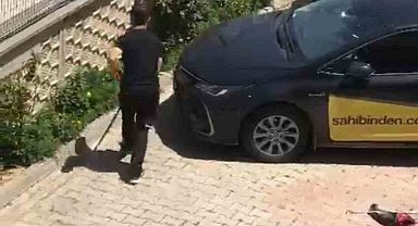 Evin bahçesine giren yılan paniğe neden oldu