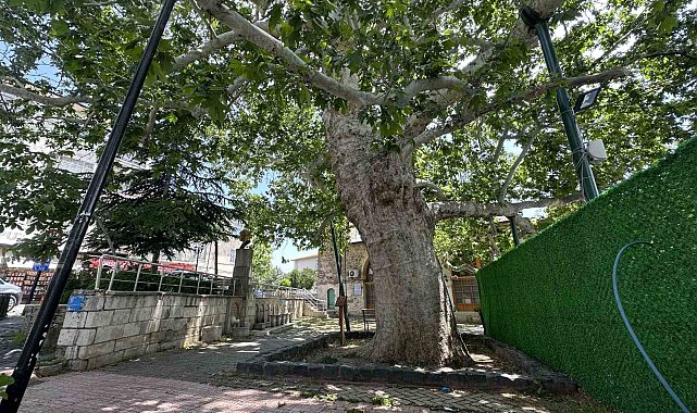 Evliya Çelebi gölgesinde not almıştı, ağırlığını kaldıramayınca güçlendirildi