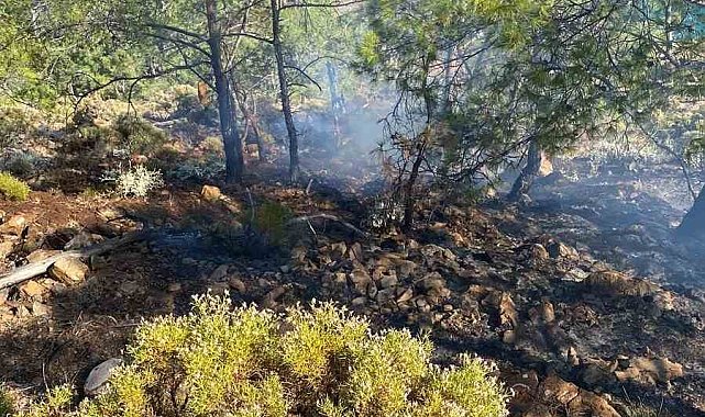 Fethiye İnlice Koyu'nda çıkan orman yangını söndürüldü