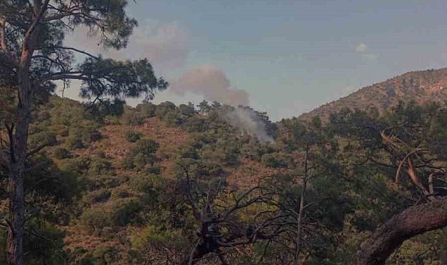 Fethiye'de orman yangını