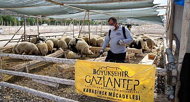 Gaziantep'te kurban bayramı tedbirleri aralıksız devam ediyor