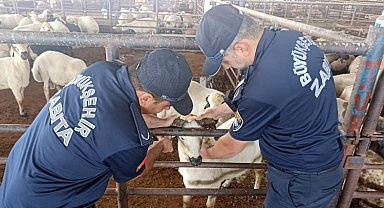 Gaziantep'te bayram öncesi denetimler sürüyor