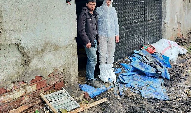 Gediz'de selden zarar gören tavuk işletmesinde hasar tespit çalışması