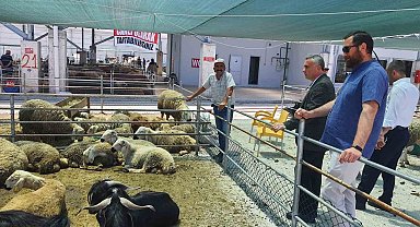 Halk Et Kombinası bayramda vatandaşın hizmetinde olacak